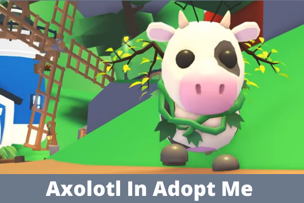 Axolotl