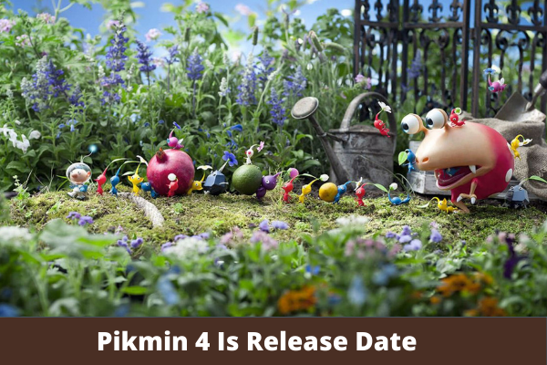 Pikmin 4 Release date