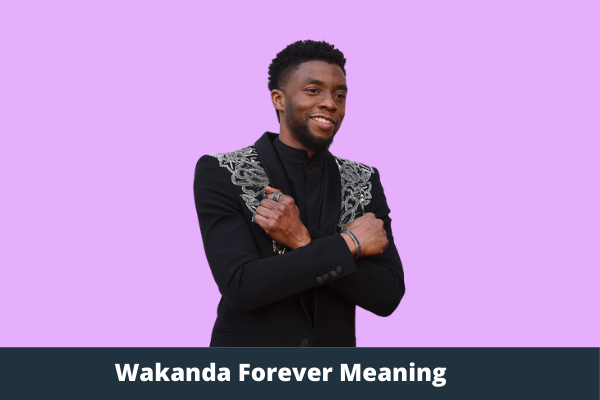 Wakanda Forever Meaning