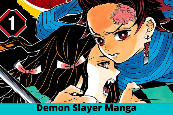 Demon Slayer Manga