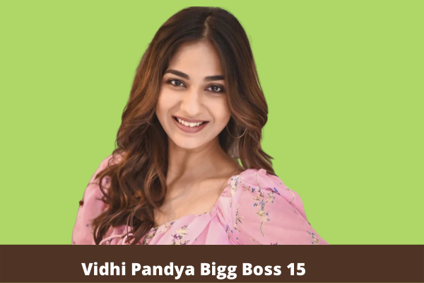 Vidhi Pandya bigg boss 15