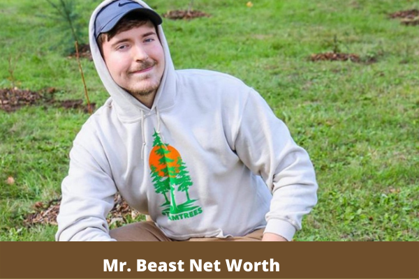 Mr. Beast Net Worth