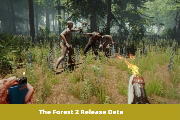 The Forest 2 Release Date