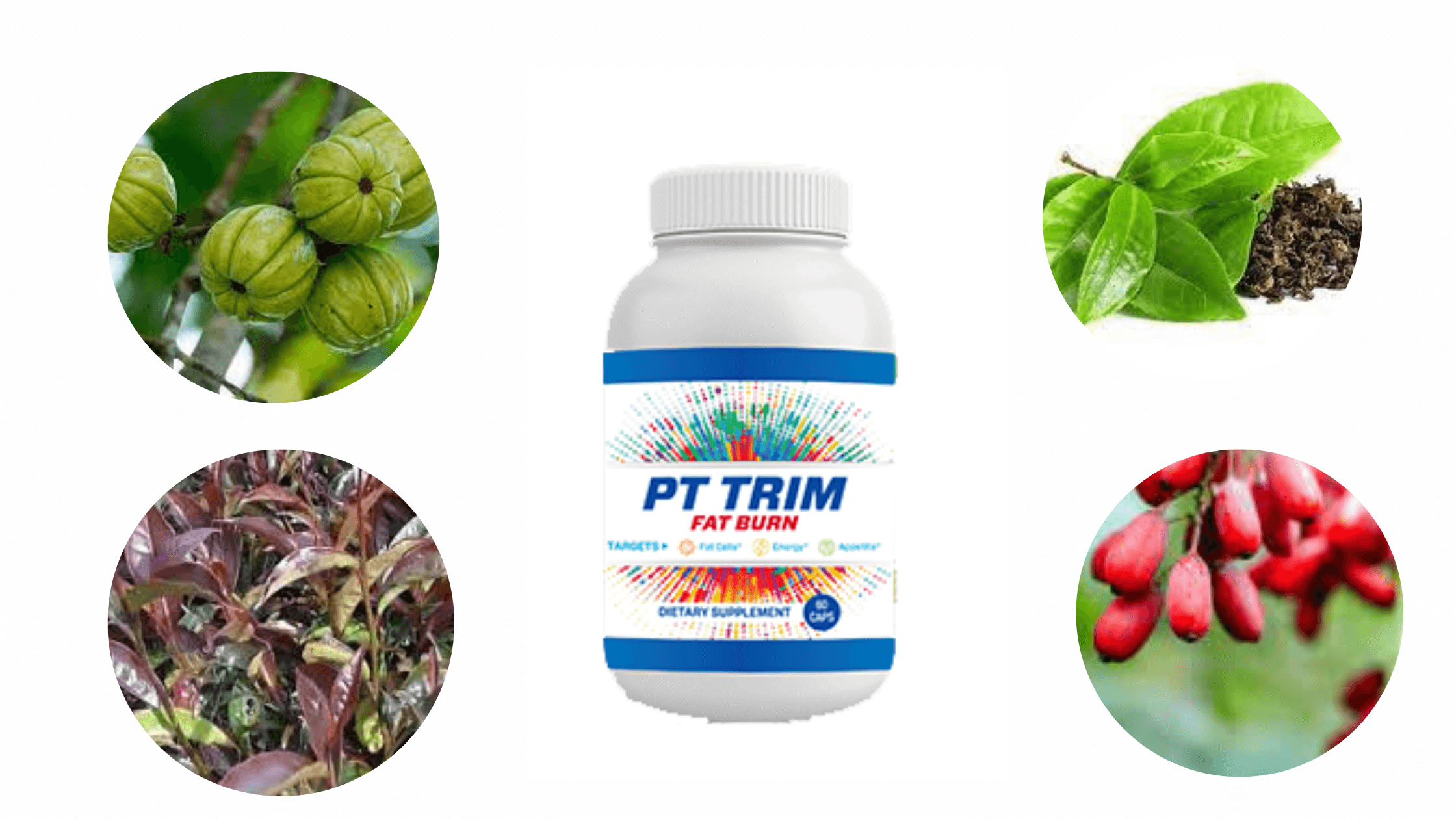 PT Trim Fat Burn Ingredients