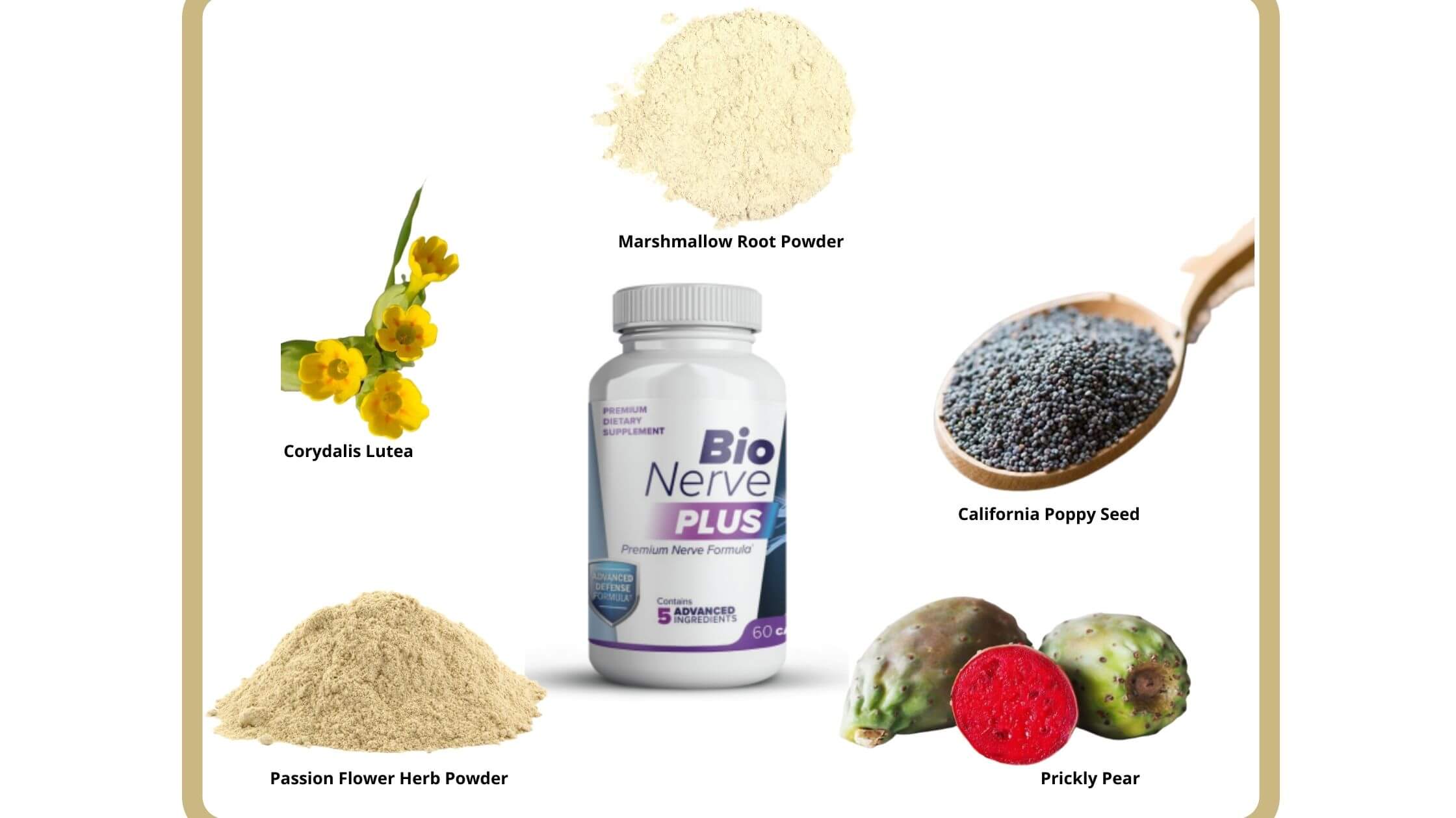 Bionerve Plus Ingredients