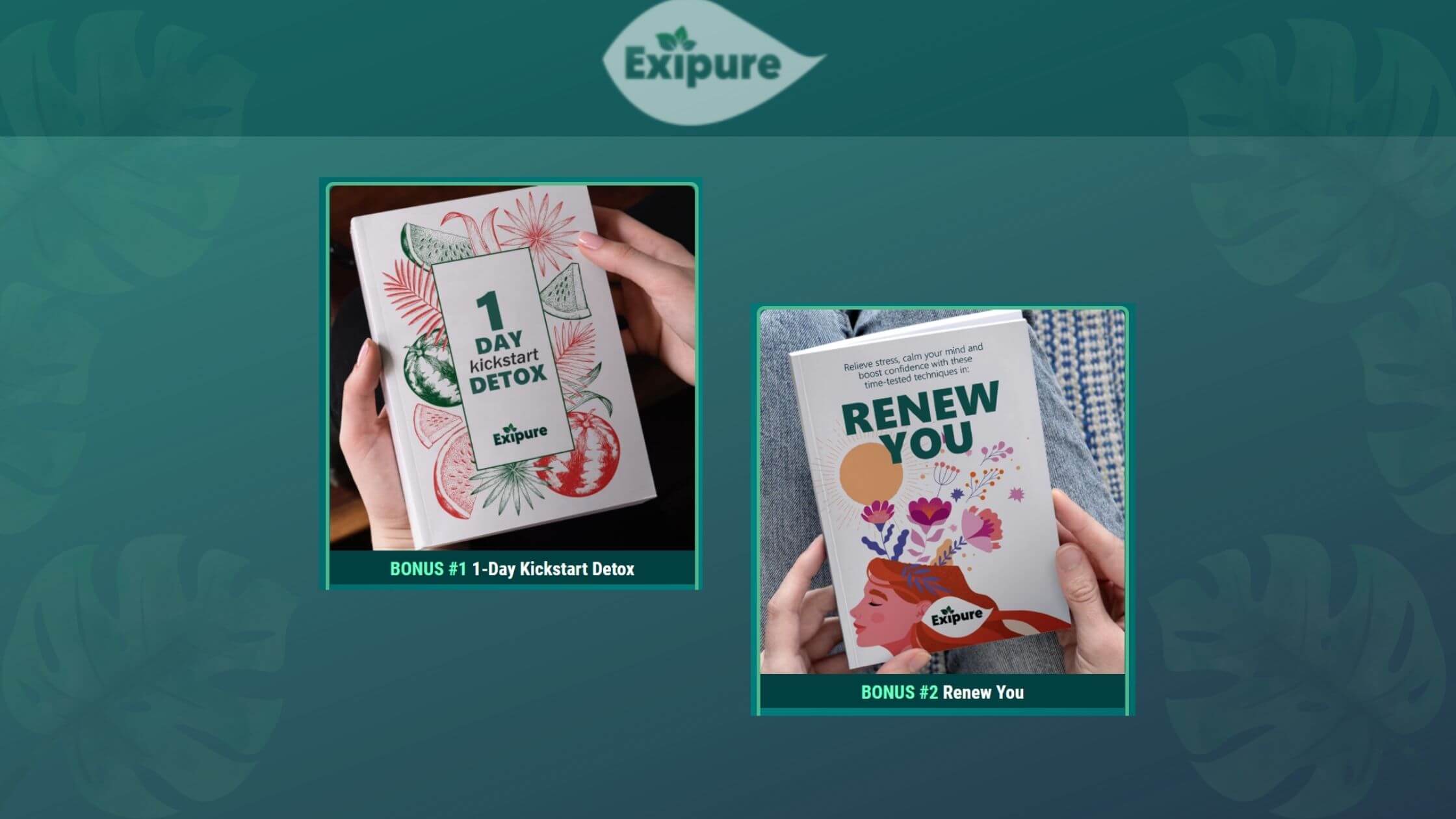 Exipure Bonuses