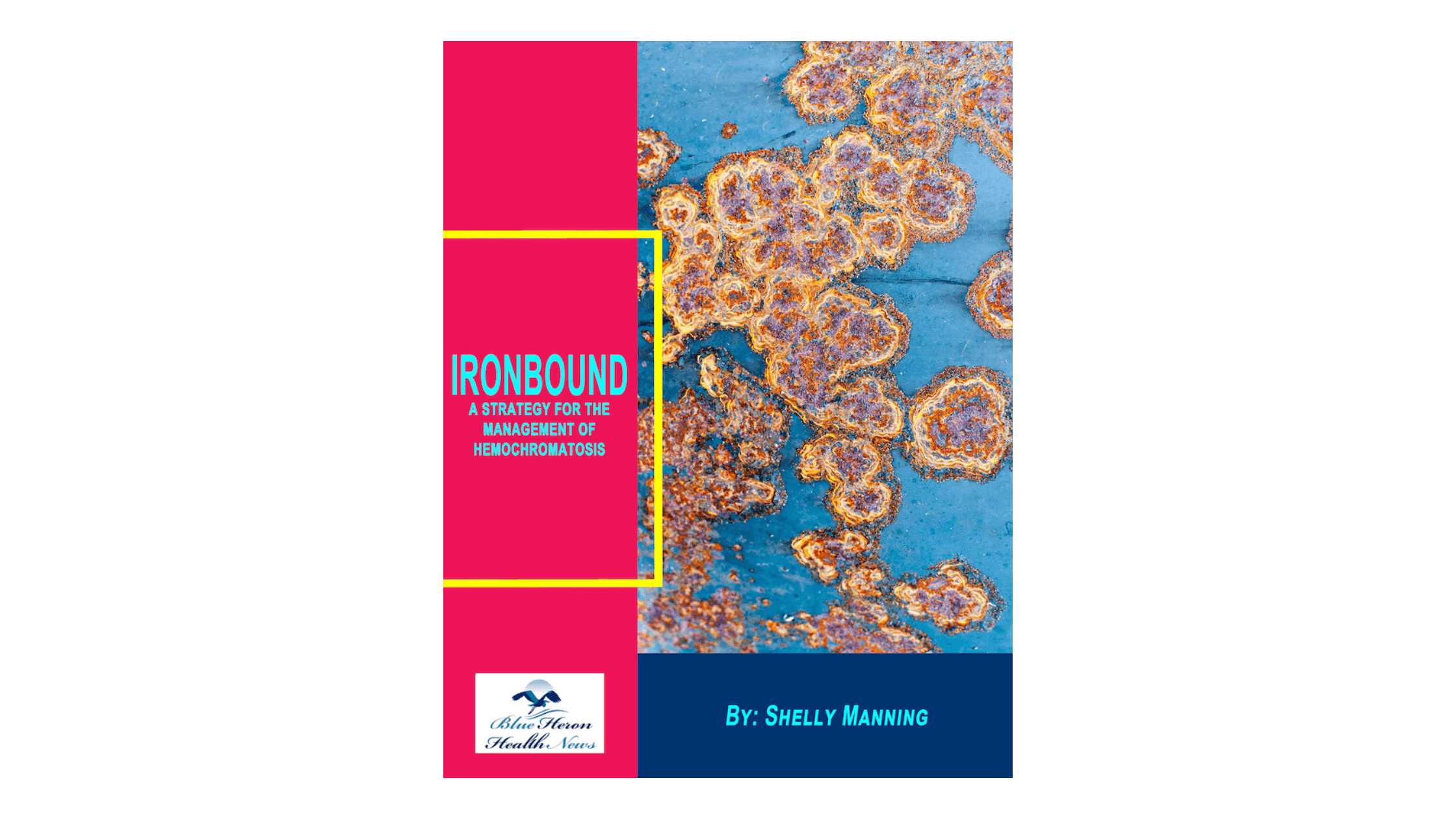 Shelly Manning Ironbound Reviews