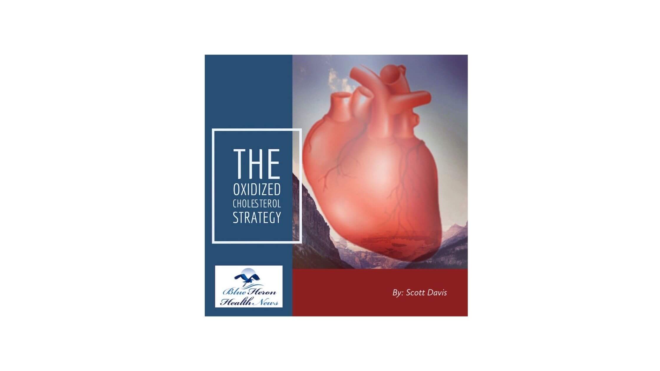 The Oxidized Cholesterol Strategy Reviews