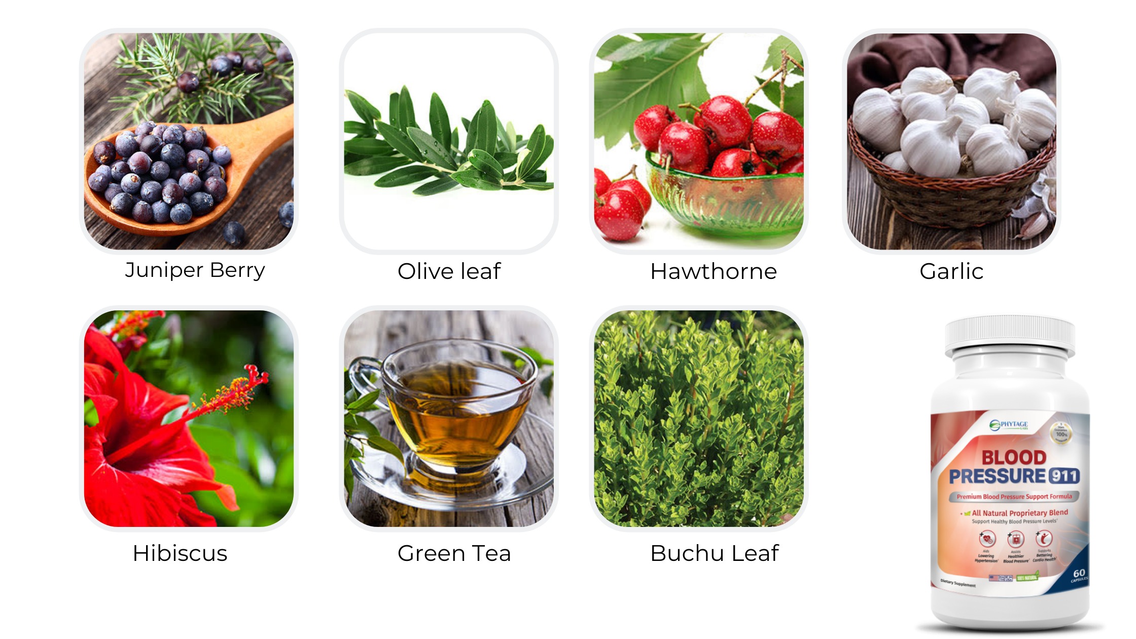 Blood Pressure 911 Ingredients