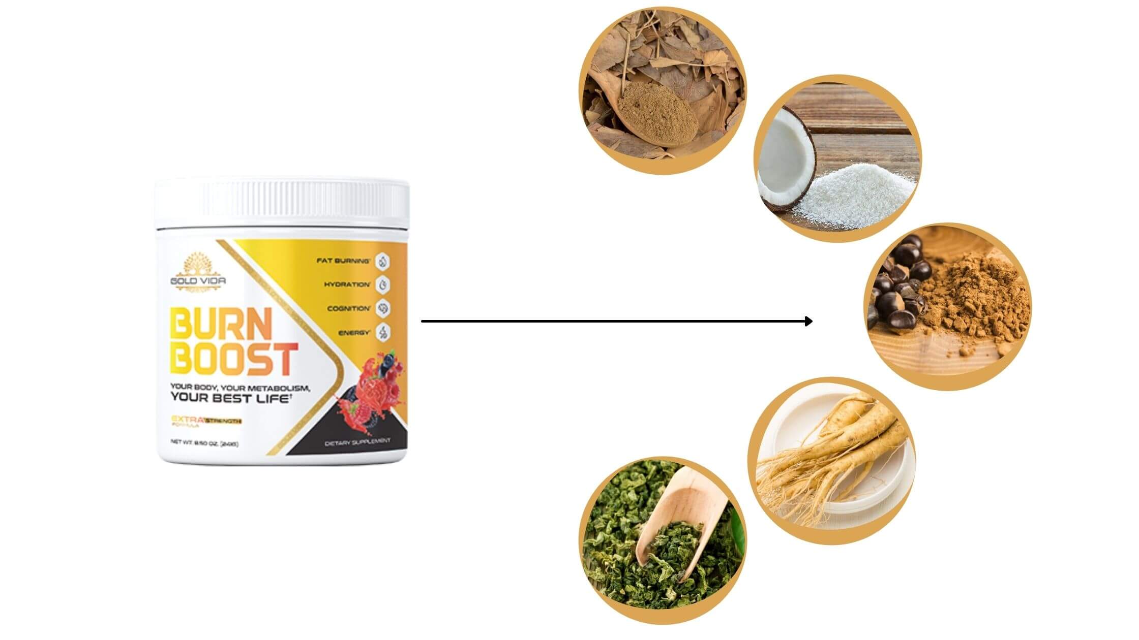 Burn Boost Ingredients