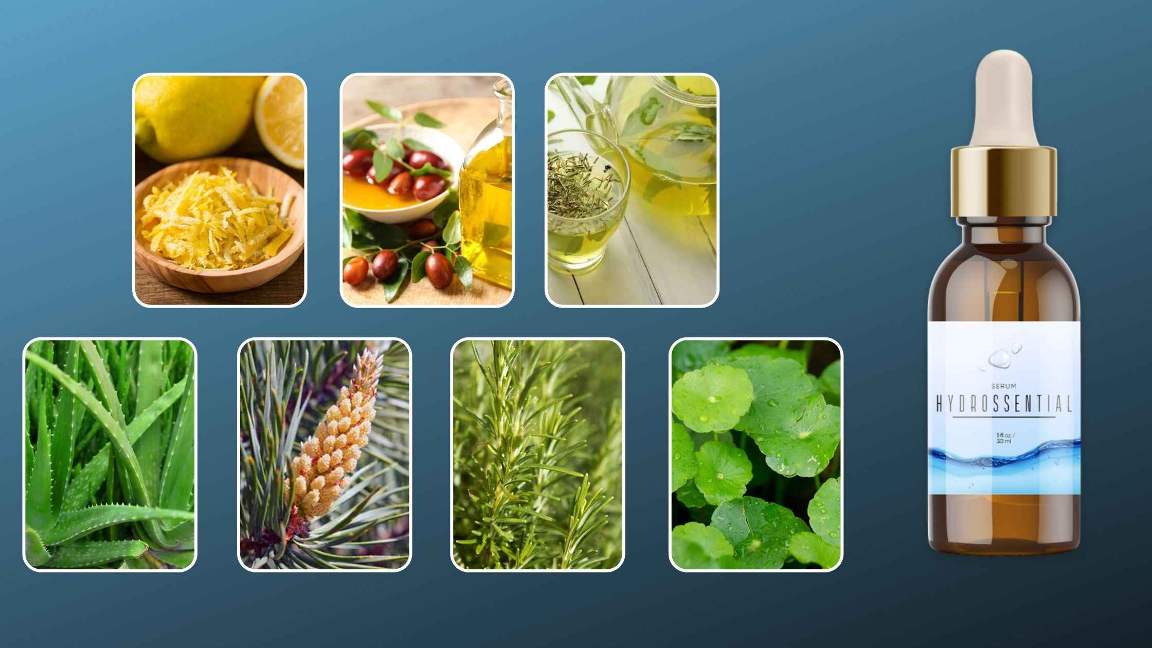 Hydrossential Ingredients
