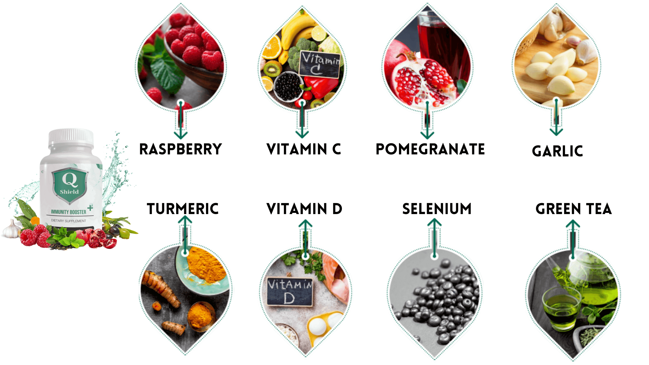 Q Shield Immunity Booster + Ingredients