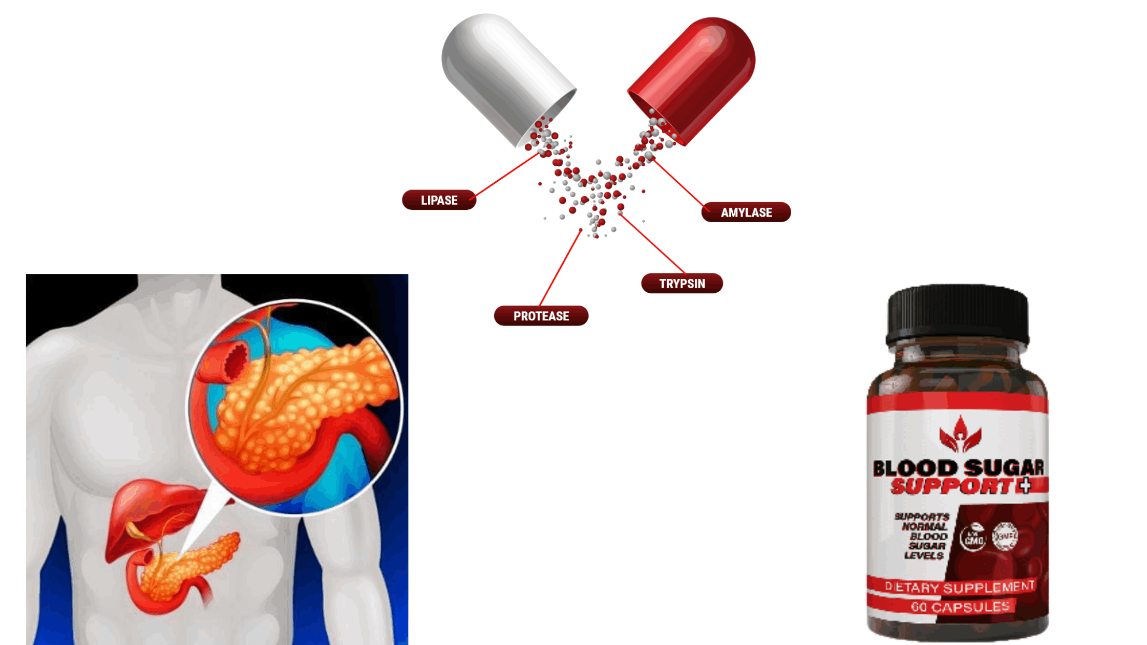 Blood Sugar Support Plus Capsule