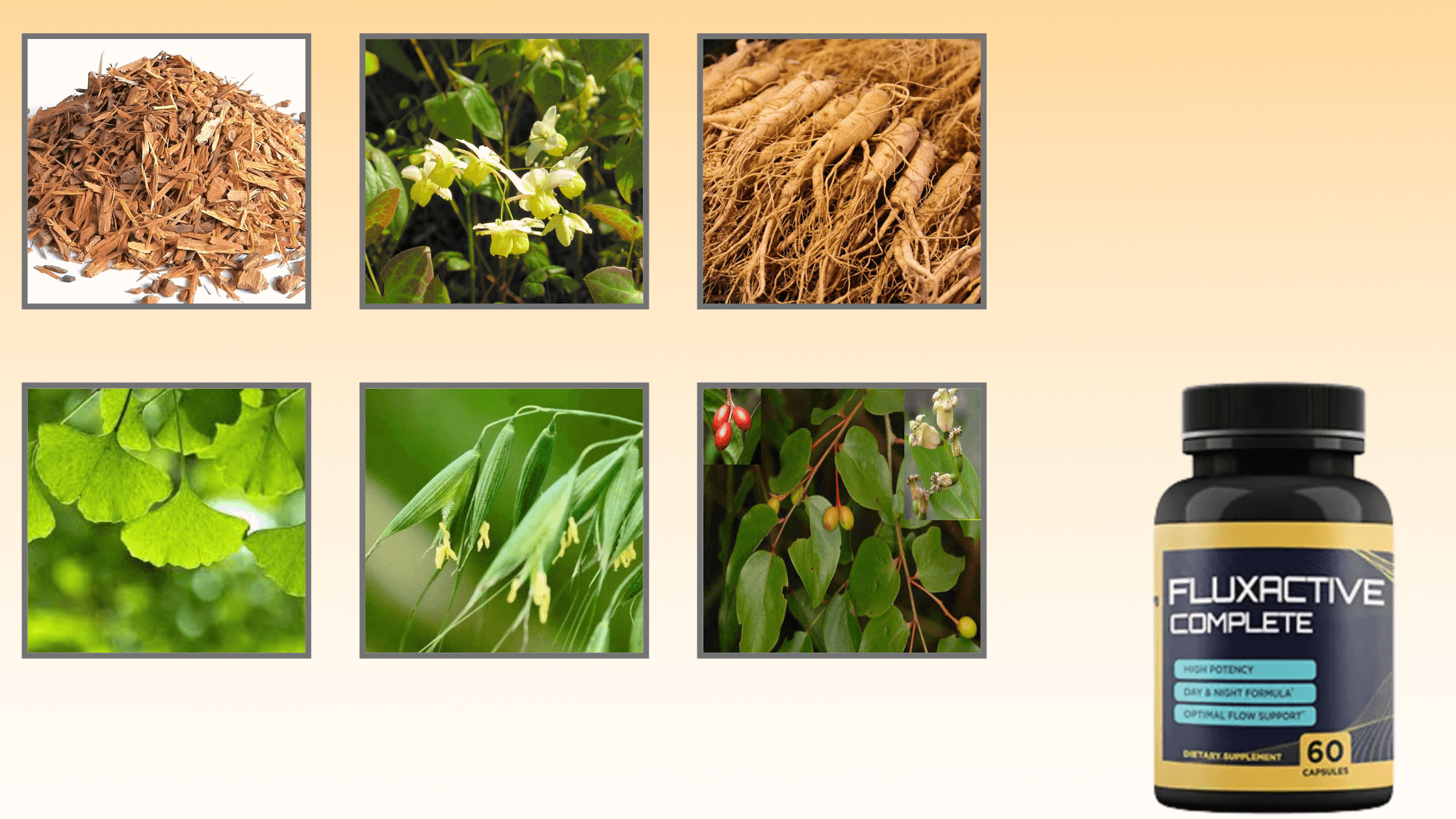 Fluxactive Ingredients