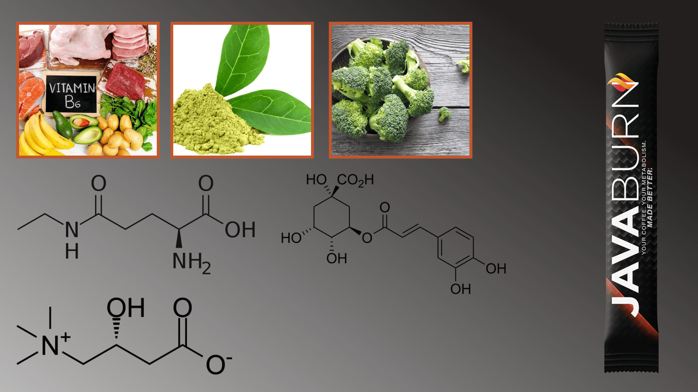 Java Burn  Ingredients