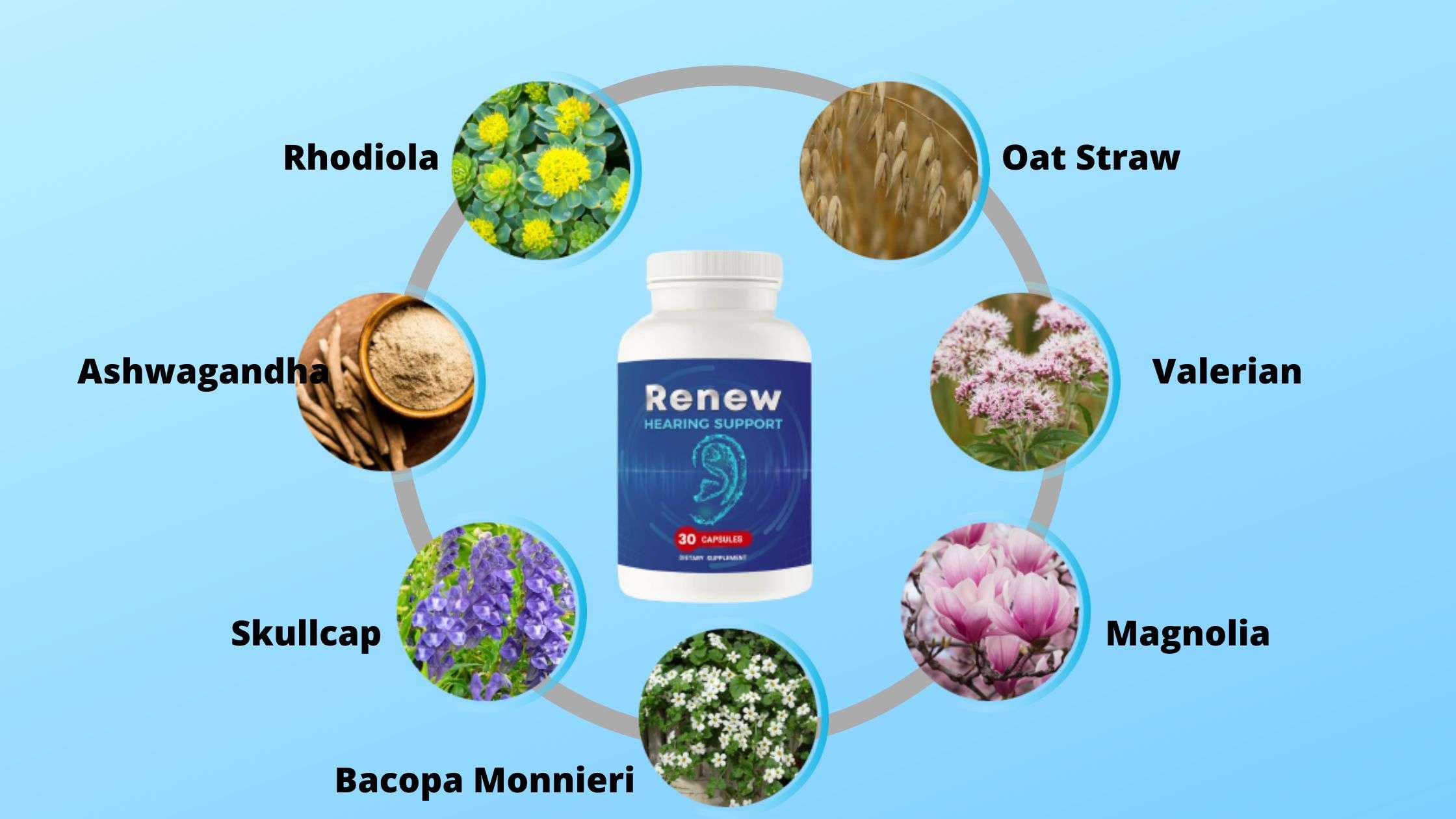 Renew Hearing Support Ingredients