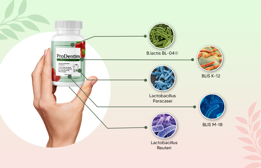 Prodentim ingredients