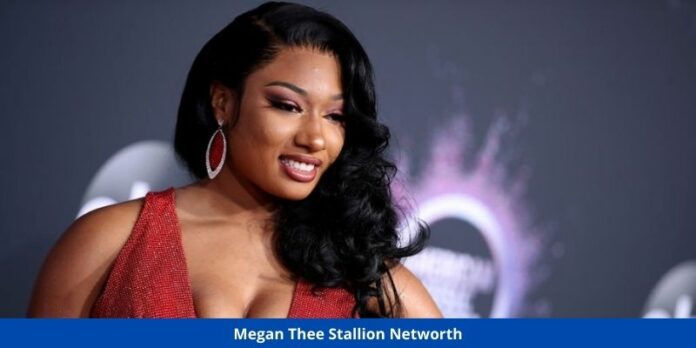 Megan Thee Stallion Networth