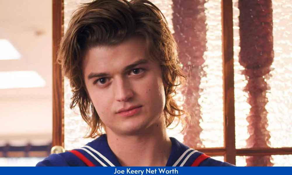 Joe Keery Net Worth 2022