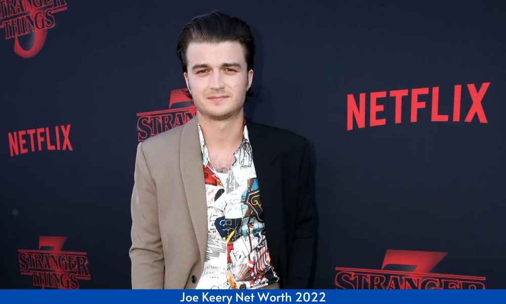 Joe Keery Net Worth & Earnings