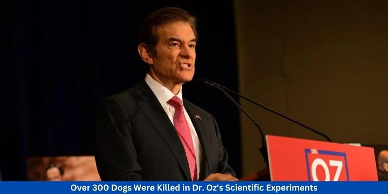 Over 300 Dogs Were Killed in Dr. Oz's Scientific Experiments