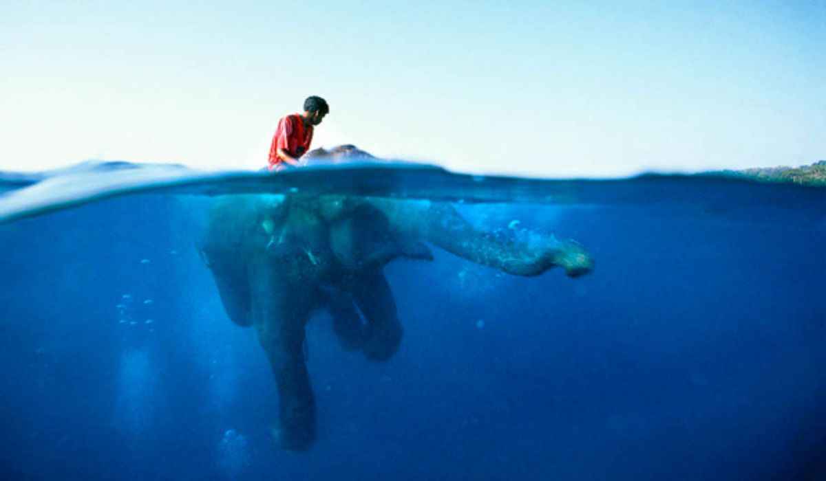 Art Brewer Career As A Surf Photographer