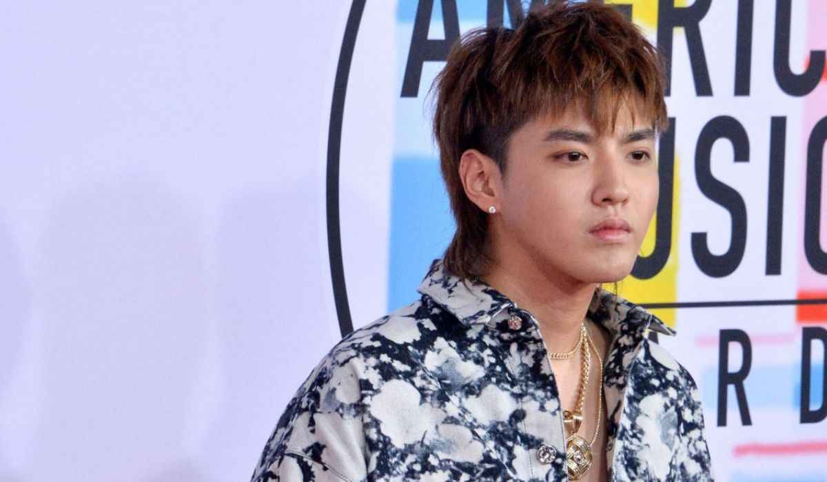 Chinese-Canadian Singer Kris Wu Sentenced To 13 Years In Jail 