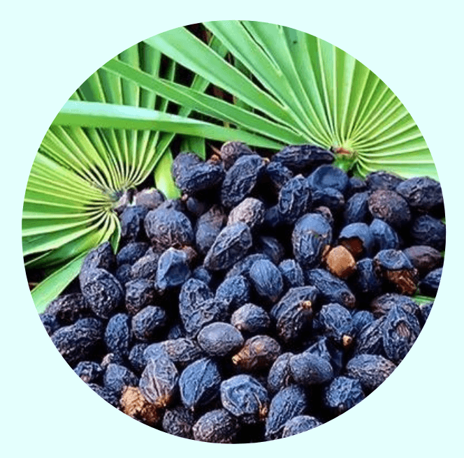 Gorilla Flow ingredient Saw palmetto extract