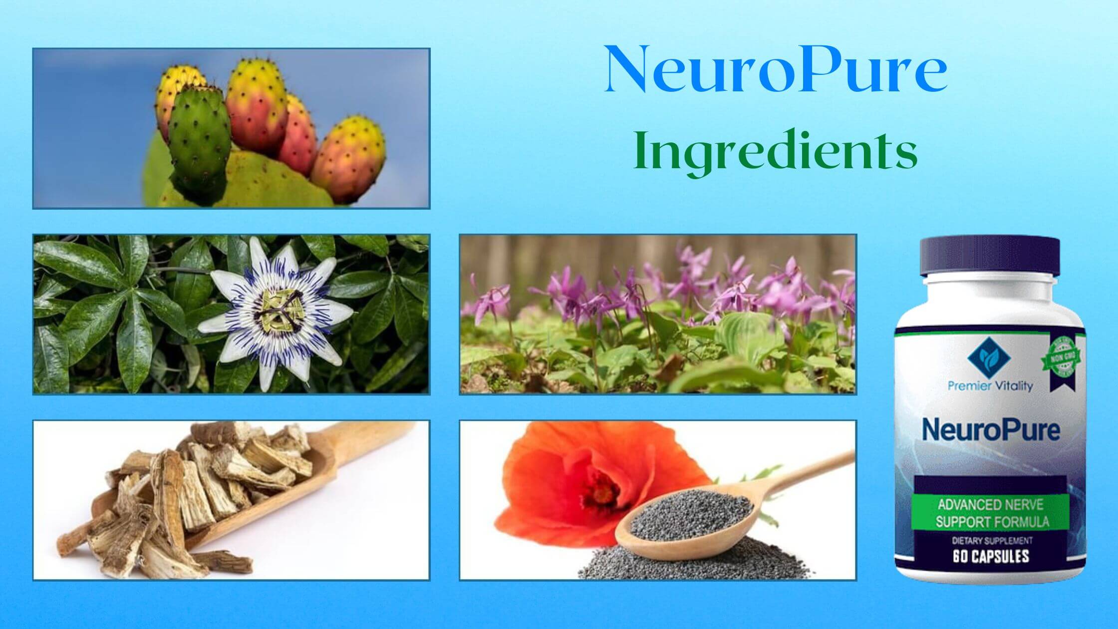 NeuroPure Ingredients