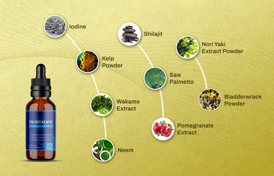 Prostadine Ingredients